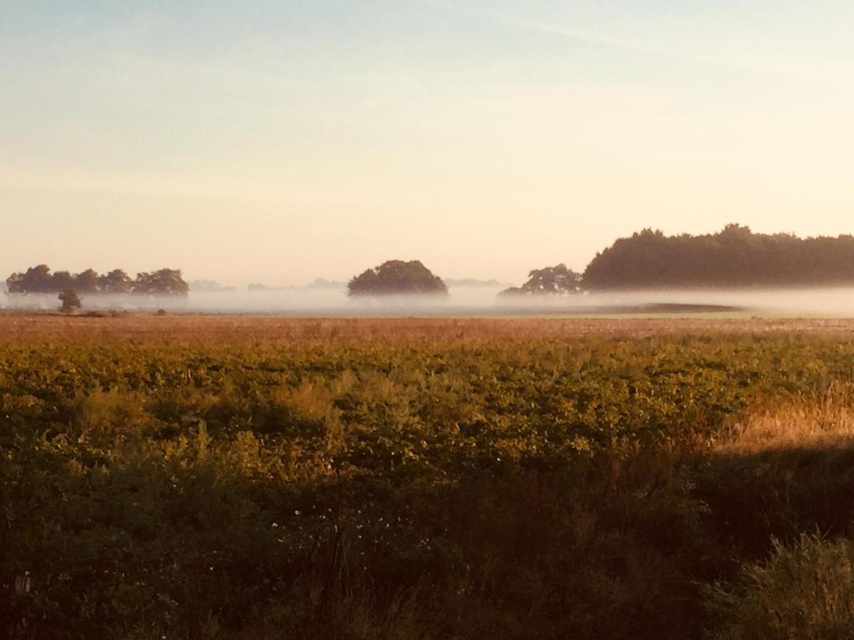 Bed and Breakfast De Distelweide Holsloot Экстерьер фото