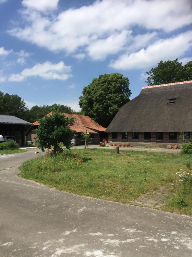 Bed and Breakfast De Distelweide Holsloot Экстерьер фото