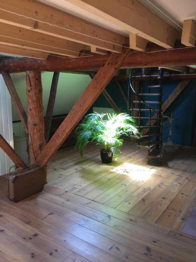 Bed and Breakfast De Distelweide Holsloot Экстерьер фото